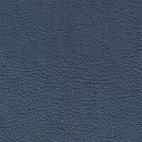 Colore capriblau
