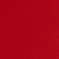 Kunstleder Pisa 3017 rot