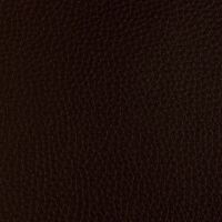 Kunstleder Pisa 451 ebenholz